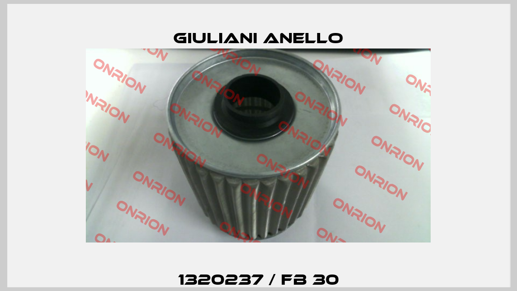 1320237 / FB 30 Giuliani Anello